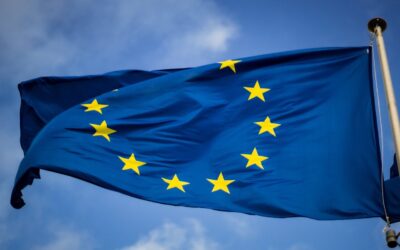 blue and yellow star flag